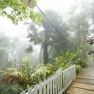 https://bellevue-the-penang-hill-hotel.georgetown-hotels.org