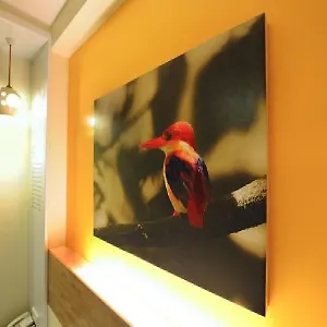 https://kk-suites.kotakinabaluhotels.net